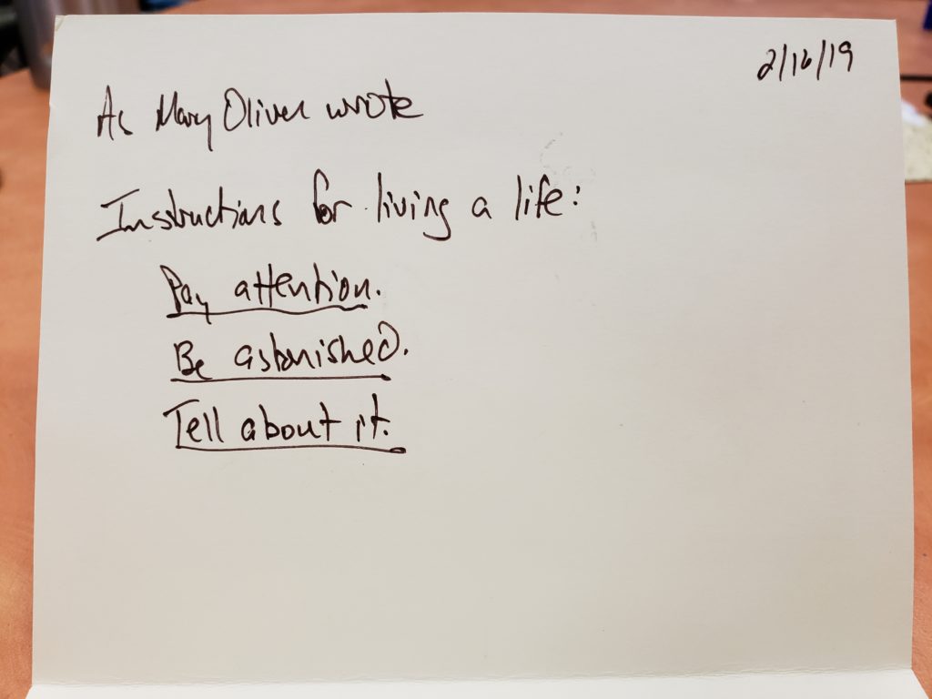 Hand written card. Text of card:
As Mary Oliver wrote
Instructions for living a life:
Pay attention
Be astonished
Tell about it.